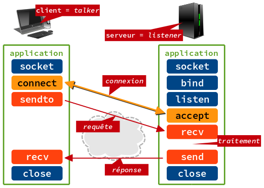 Socket et protocole TCP