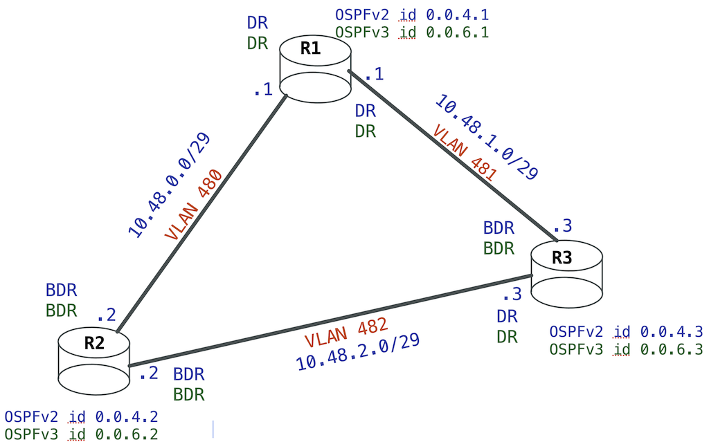 Topologie logique OSPF et rôle des interfaces de routeurs