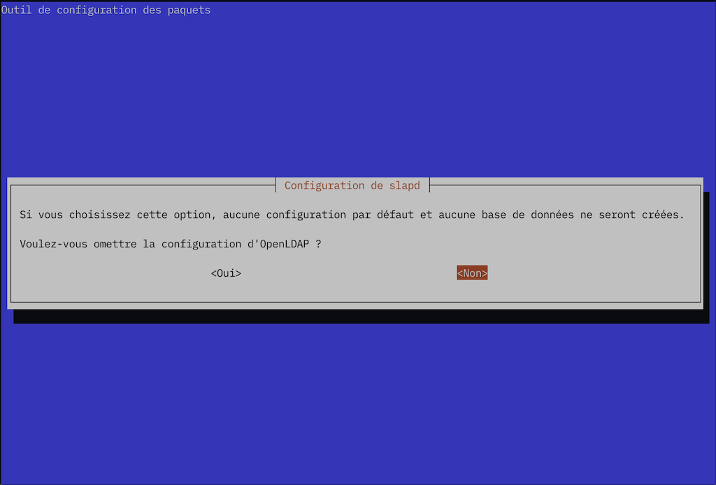 Copie d'écran dpkg-reconfigure slapd